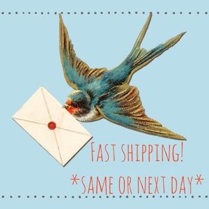 ⚡️Fast Shipper!⚡️